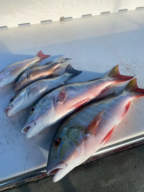 Fishing in Key West, Florida