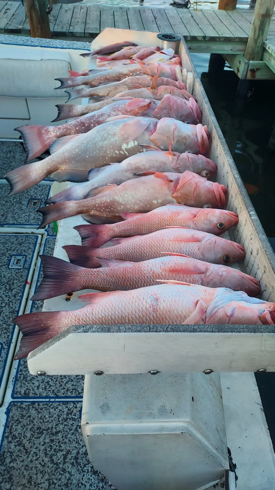 Fishing in Englewood, Florida