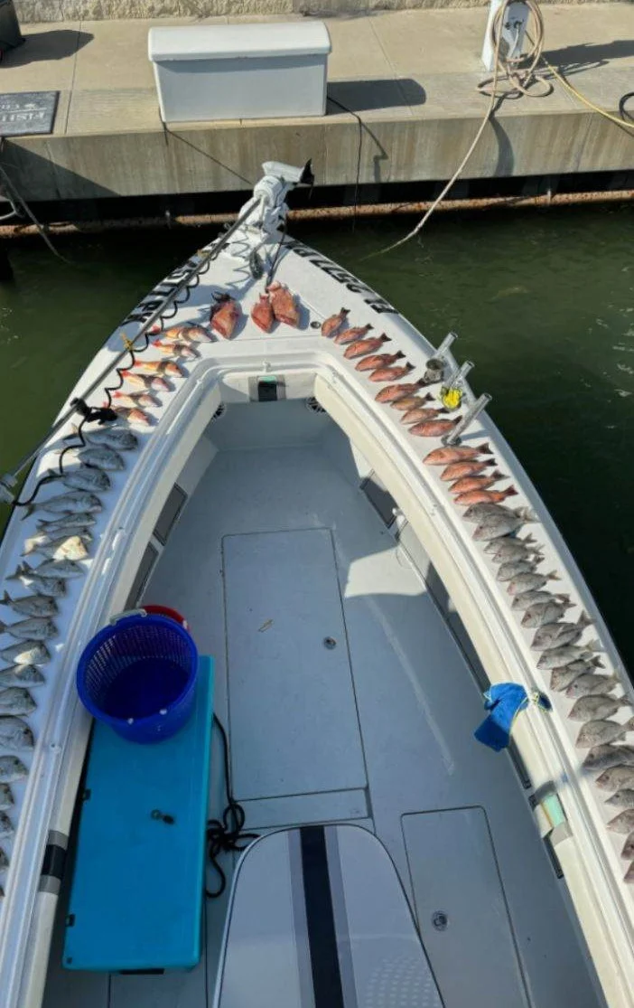 Gag Grouper Fishing in Clearwater, Florida