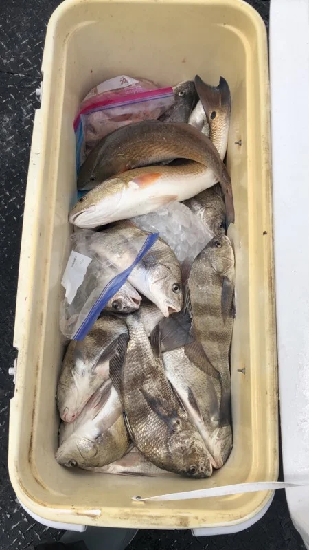 Fishing in Rockport, Texas