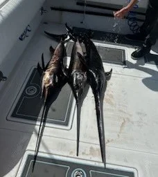 Swordfish Fishing in Destin, Florida