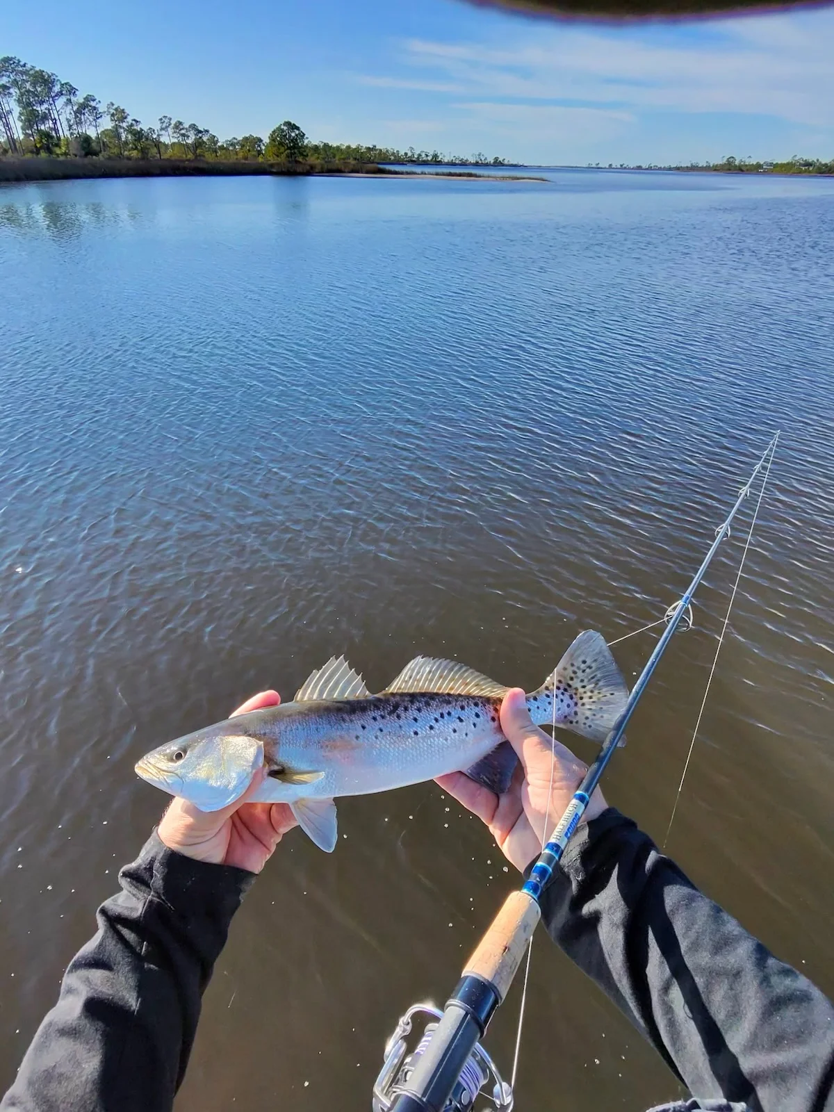 Fishing in Panama City Beach, Florida