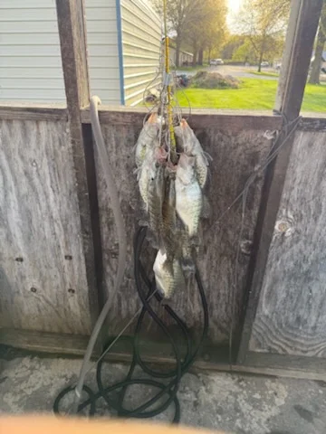 Fishing in Saint Charles, Missouri
