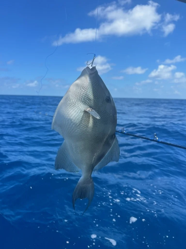 Fishing in Etoile, Texas