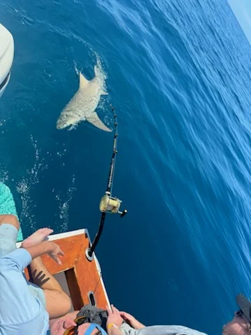 Fishing in Marathon, Florida