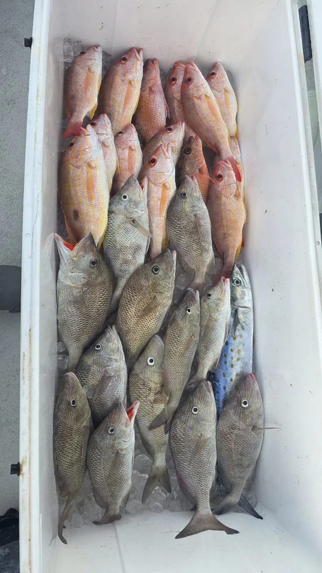 Fishing in Sarasota, Florida