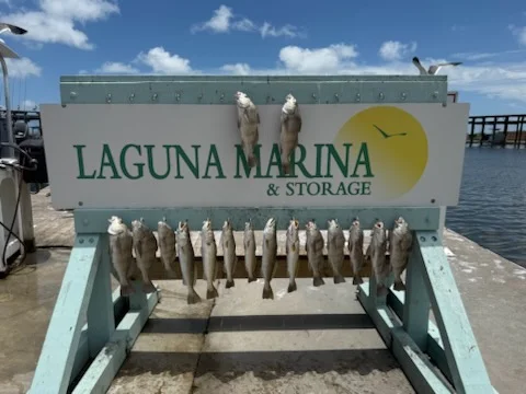 Fishing in Corpus Christi, Texas