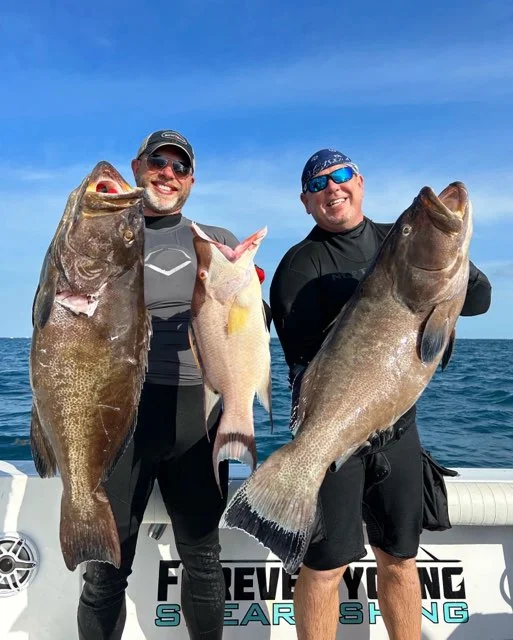 Black Grouper Fishing in Islamorada, Florida