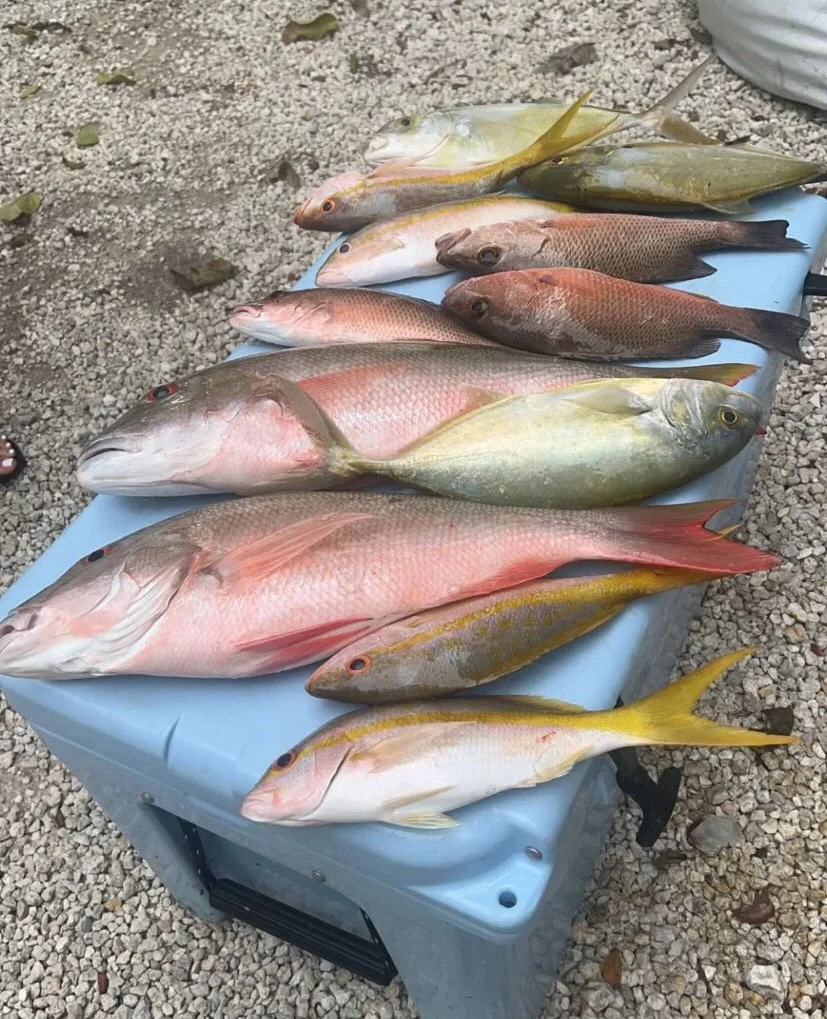 Cobia Fishing in Key Largo, Florida