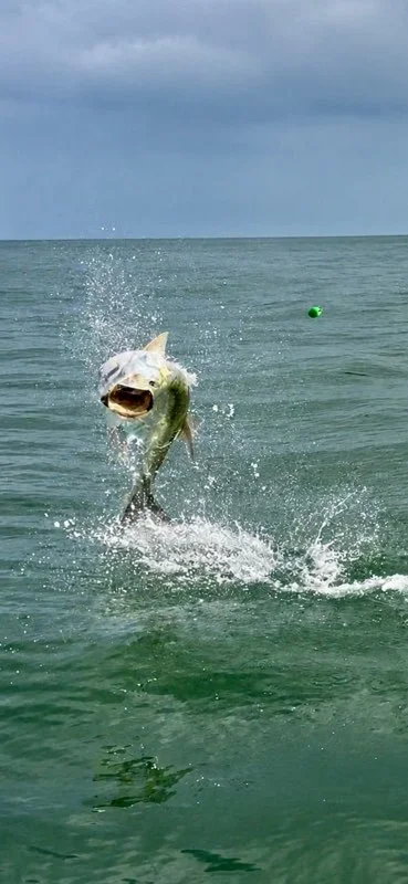 Fishing in Clearwater, Florida