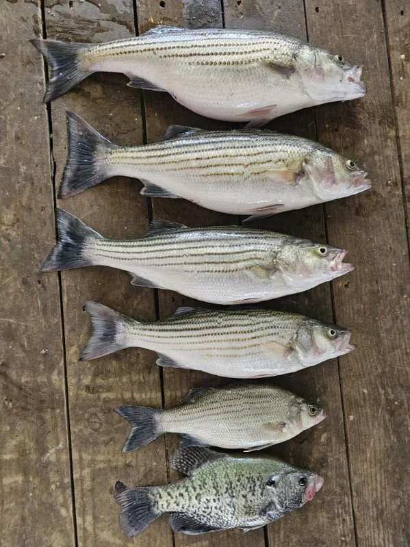 Fishing in Kingston, Oklahoma