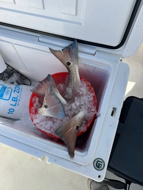 Fishing in St. Augustine, Florida
