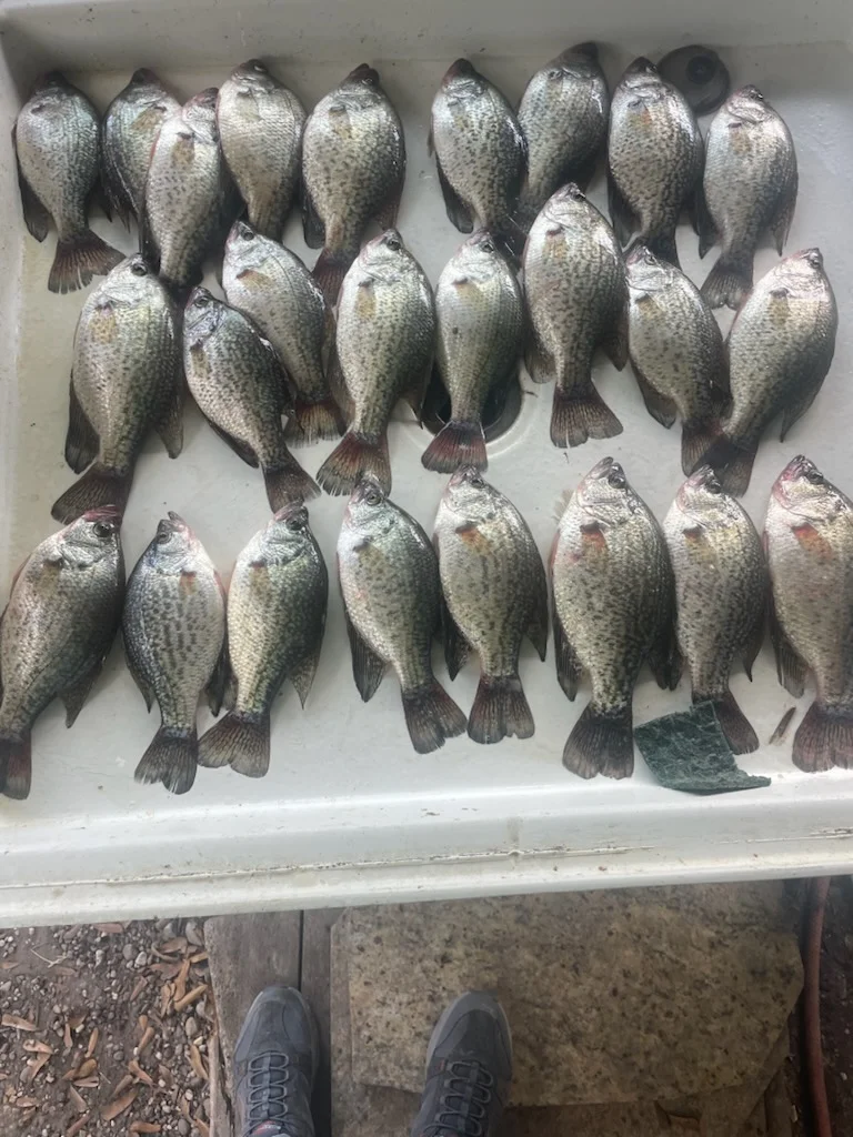 Fishing in Willis, Texas
