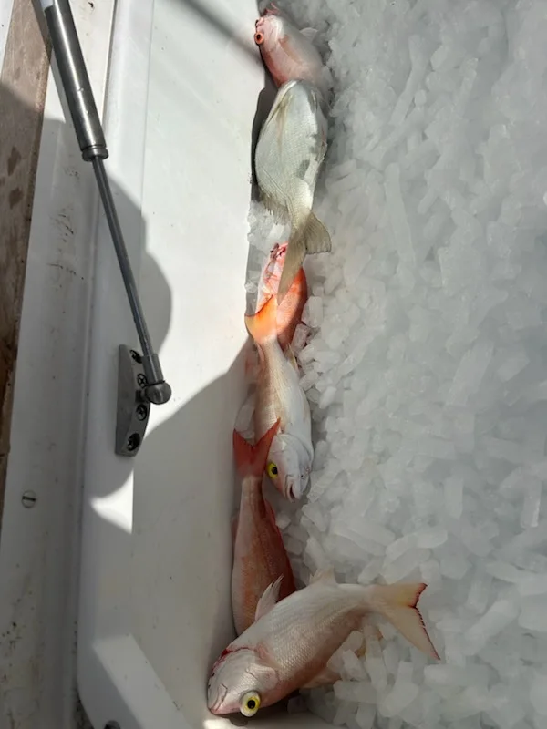 Fishing in Miami, Florida