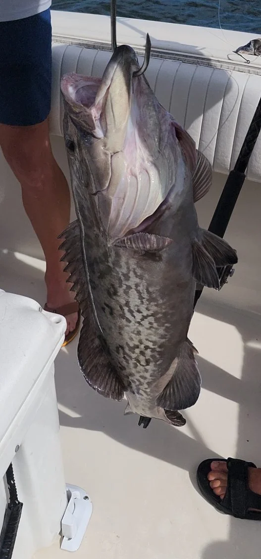 Fishing in Foley, Alabama