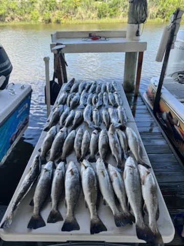 Fishing in Saint Bernard, Louisiana