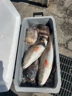 Fishing in Texas City, Texas