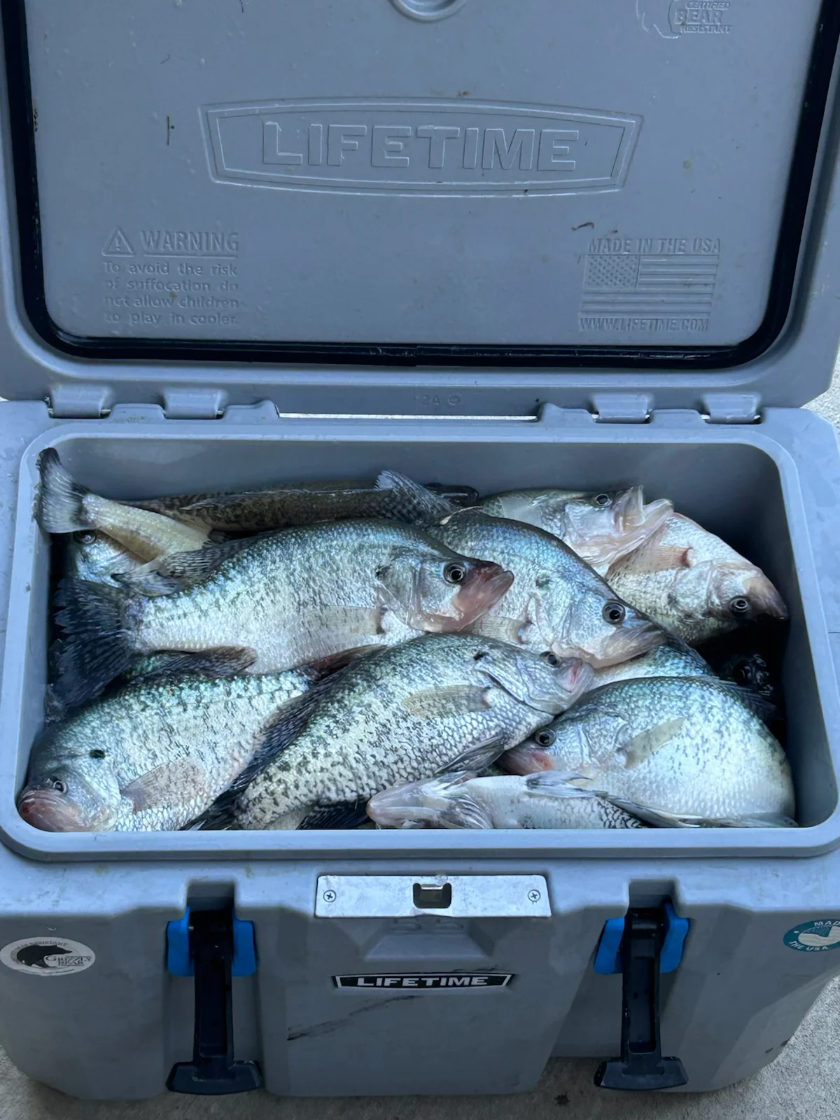 Fishing in Vernon, Alabama