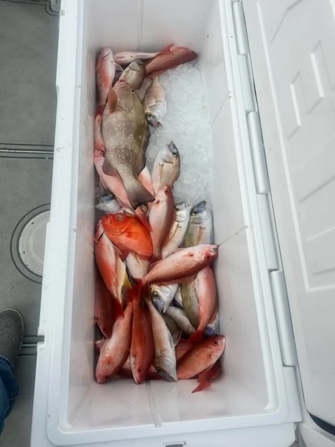 Fishing in Panama City Beach, Florida