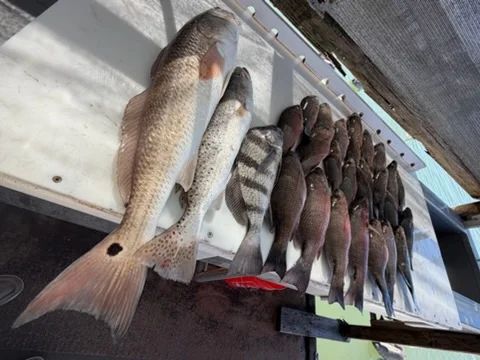 Fishing in South Padre Island, Texas