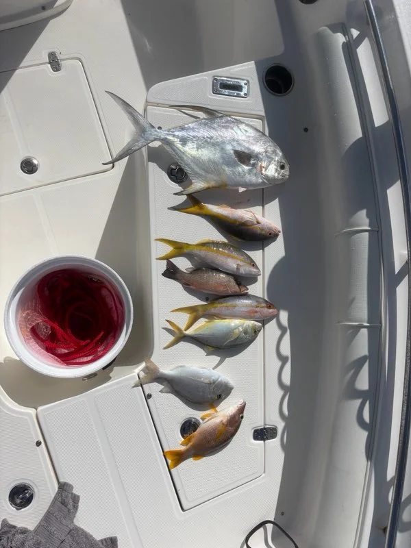 Fishing in Key Largo, Florida