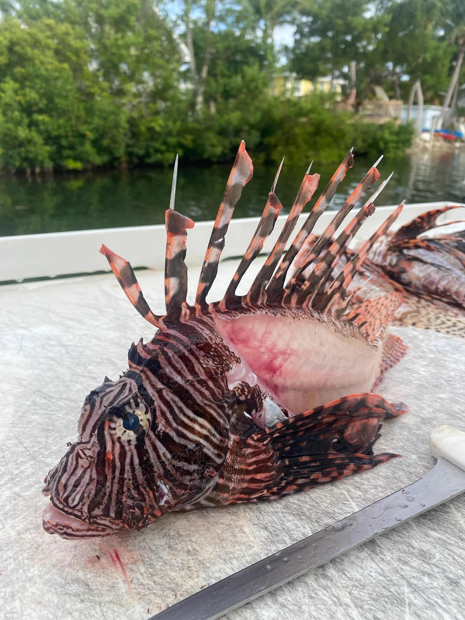 Fishing in Key West, Florida