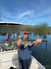 Fishing in Sarasota, Florida