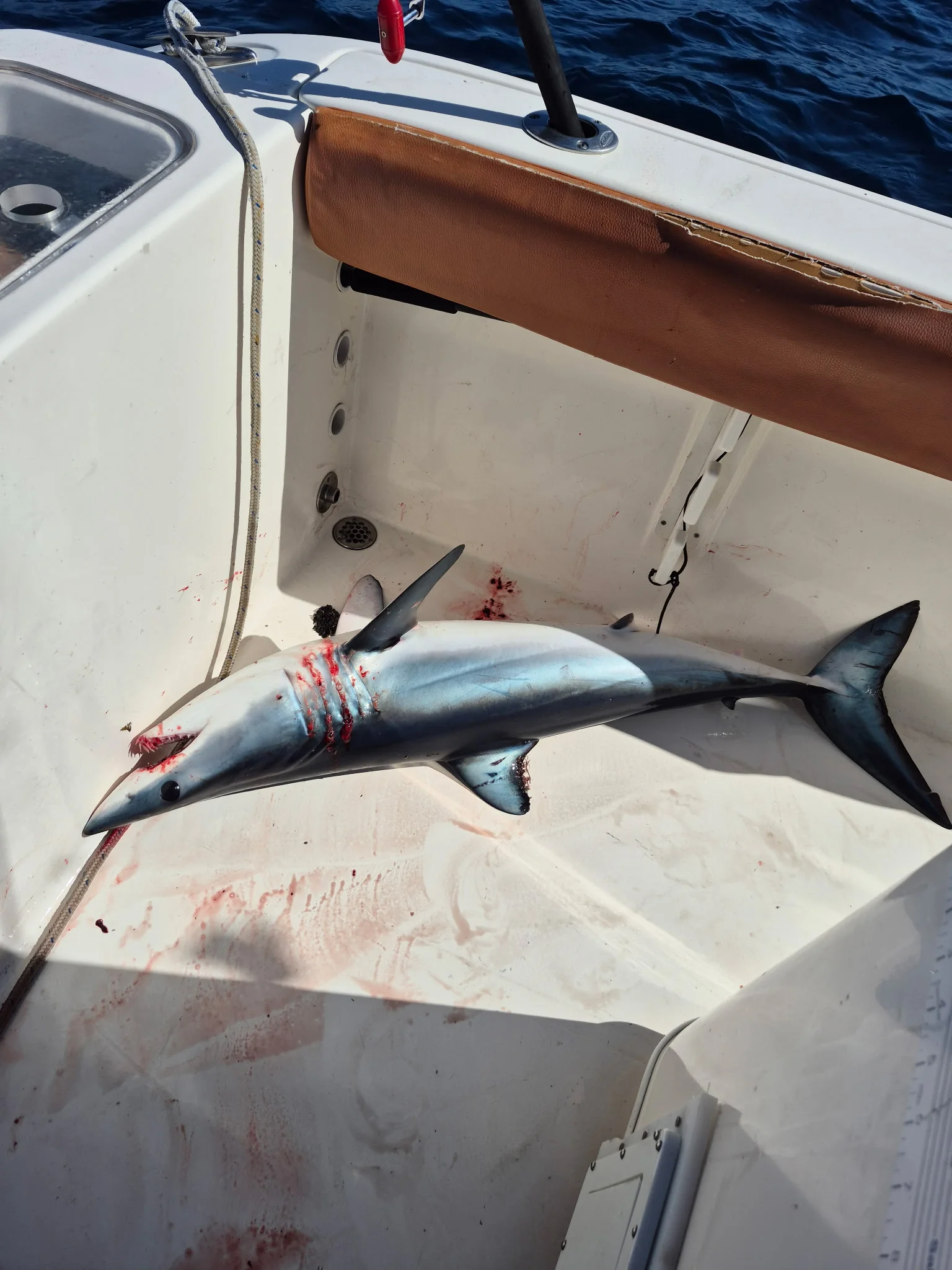 Fishing in Long Beach, California