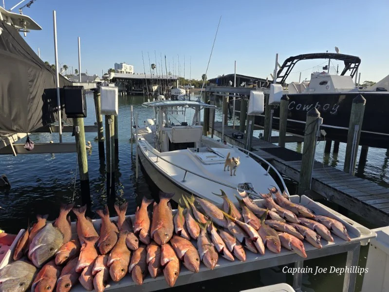 Fishing in Gulfport, Florida