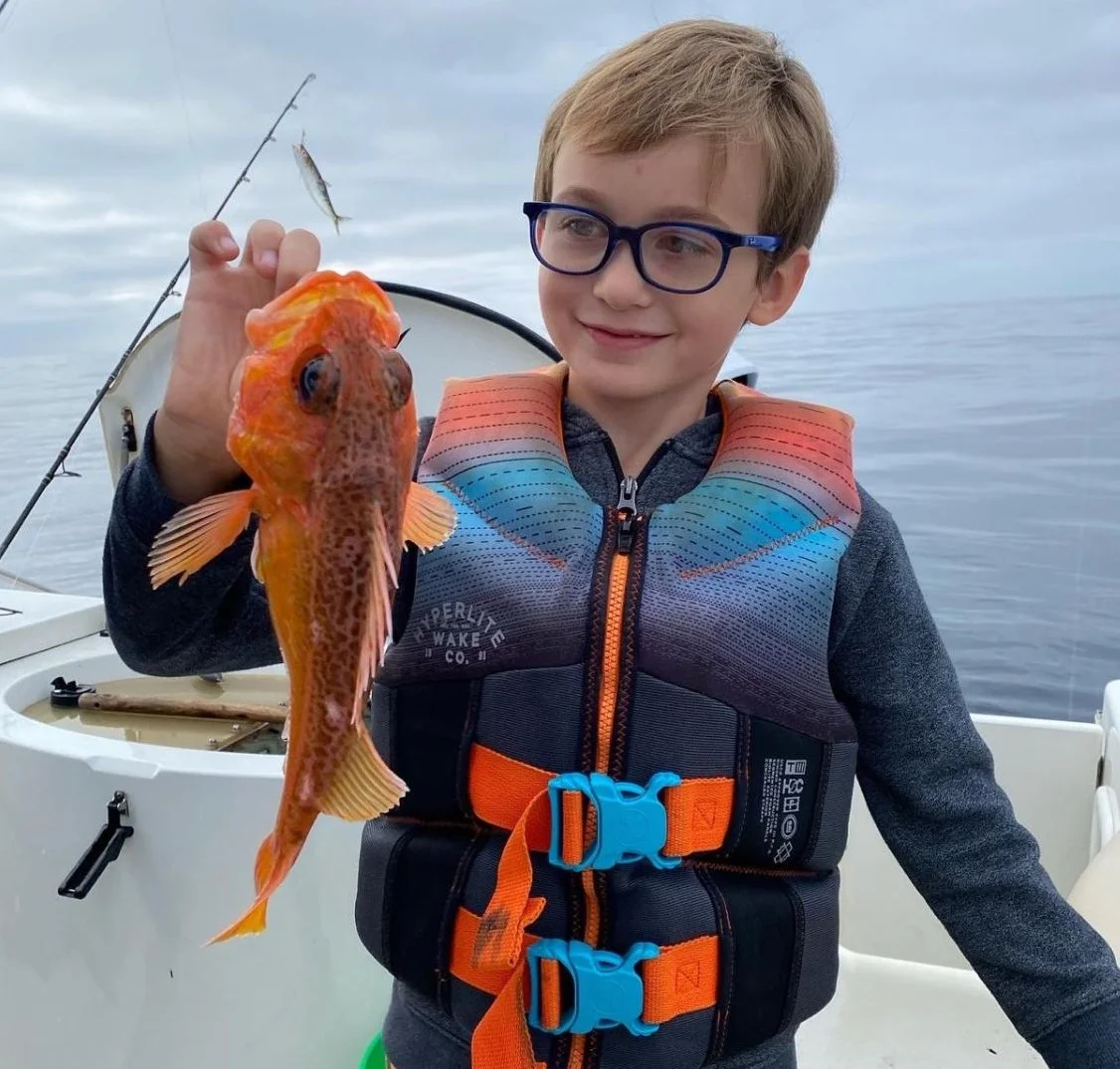 Blackbelly Rosefish Fishing in San Diego, California