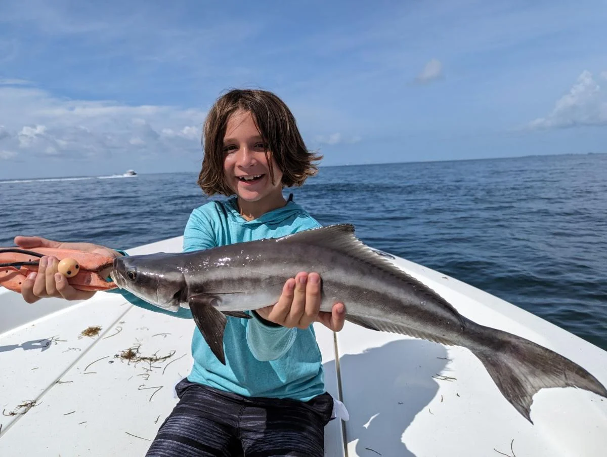 Cobia Fishing in Ruskin, Florida