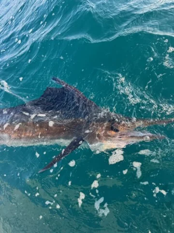 Fishing in St. Augustine, Florida