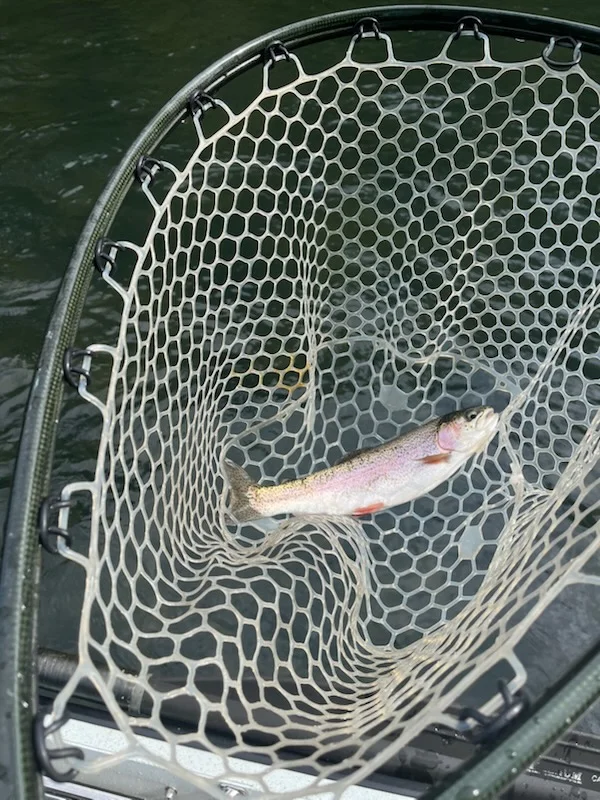 Fishing in Heber Springs, Arkansas
