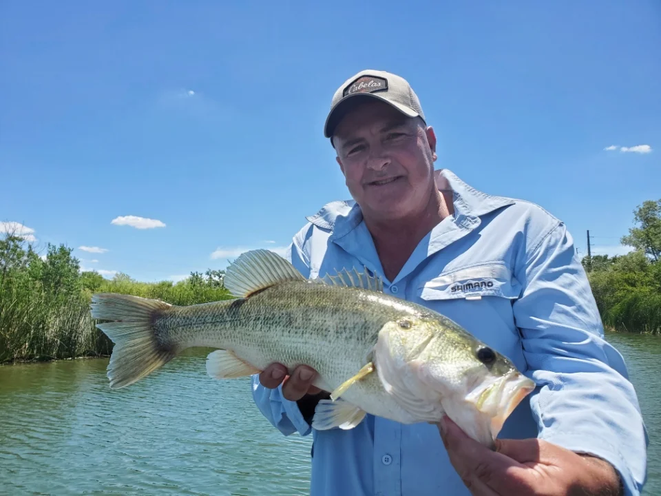 Largemouth Bass fishing in Austin, Texas