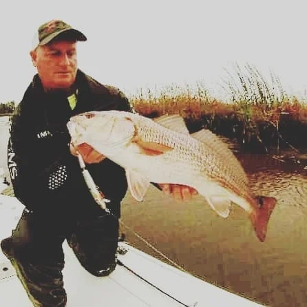 Striped Bass Fishing in Jacksonville, Florida