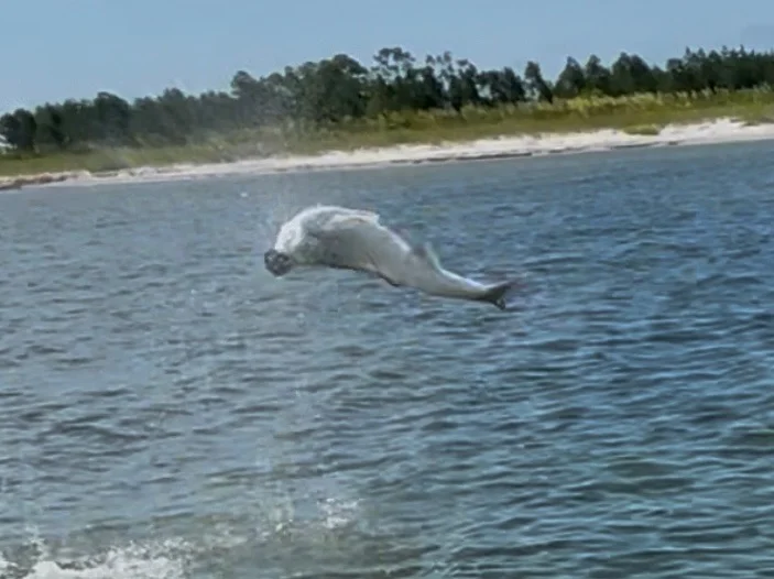 Fishing in Apalachicola, Florida