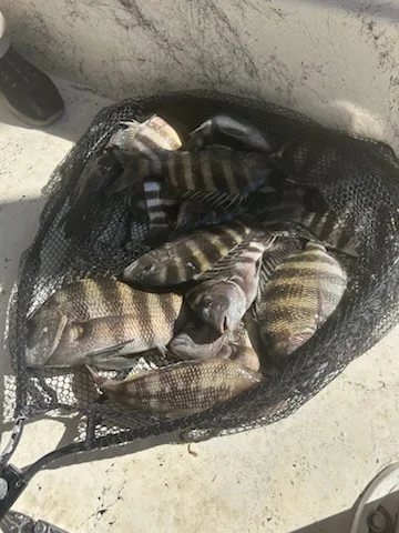 Fishing in St. Augustine, Florida