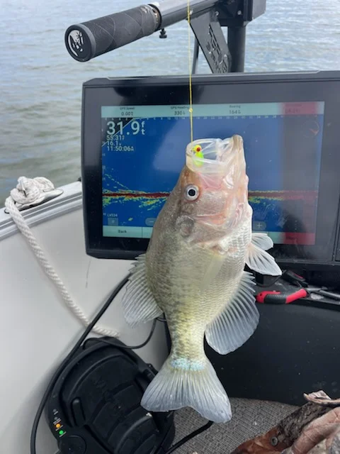 Fishing in Willis, Texas
