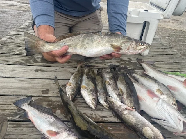 Fishing in Slidell, Louisiana