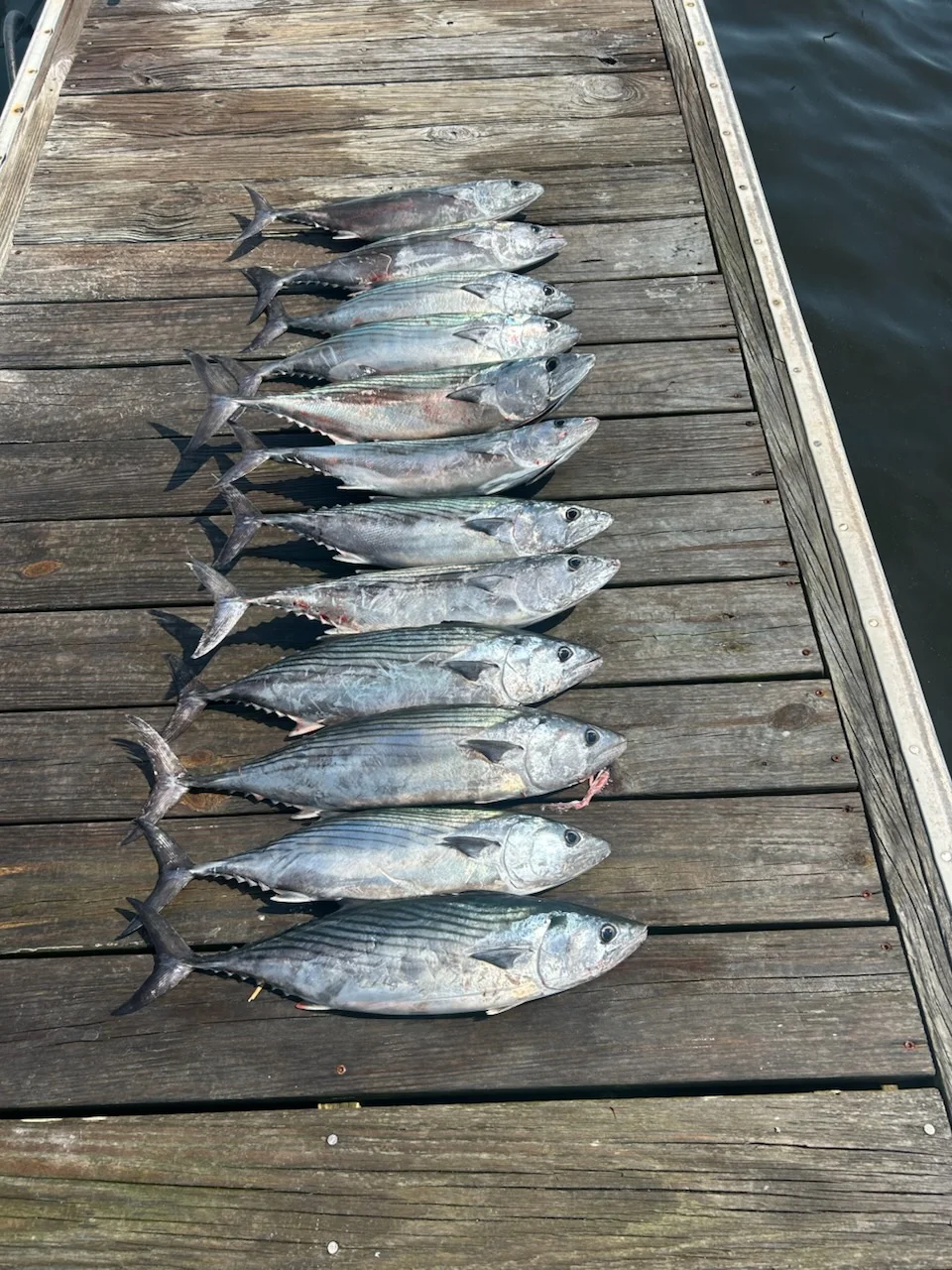 Fishing in Carolina Beach, North Carolina