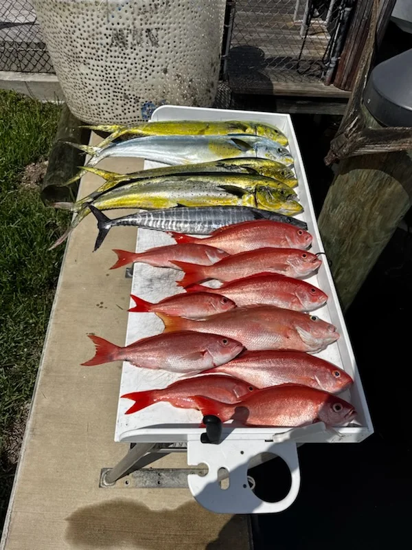 Fishing in Dania Beach, Florida