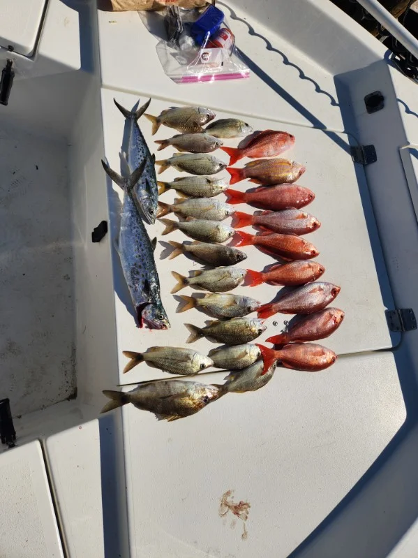 Scup, Spanish Mackerel, Vermillion Snapper Fishing in Rockport, Texas