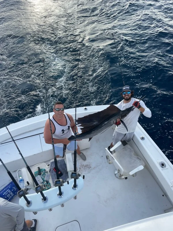 Sailfish Fishing in Pompano Beach, Florida