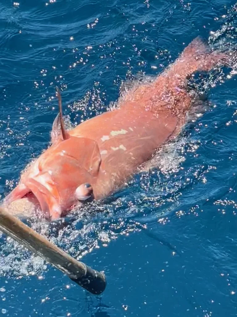 Fishing in Destin, Florida