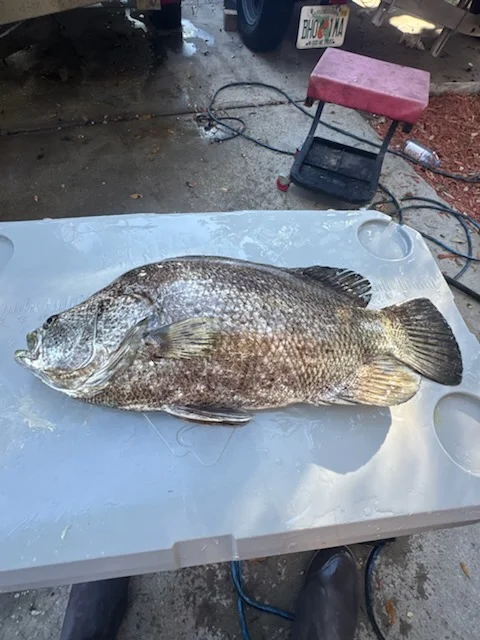 Fishing in Indian Rocks Beach, Florida