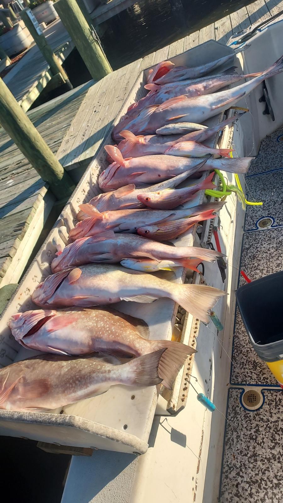 Fishing in Englewood, Florida