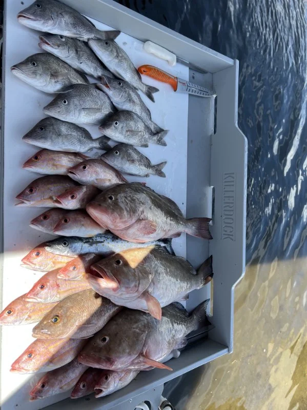 Fishing in Sarasota, Florida