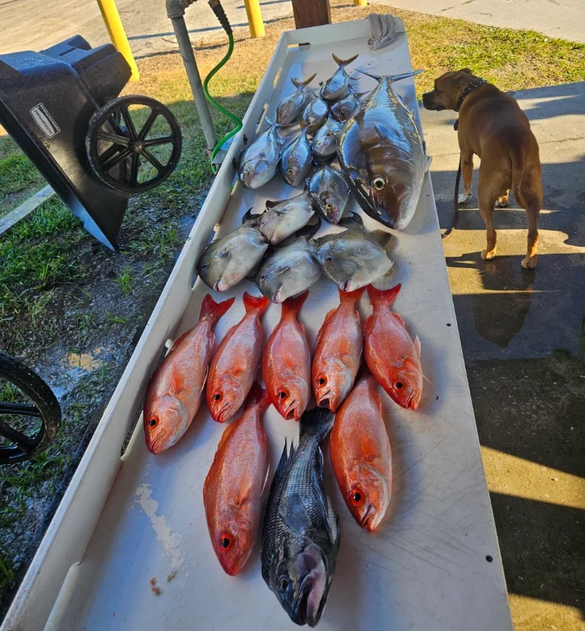 Fishing in Jacksonville, Florida