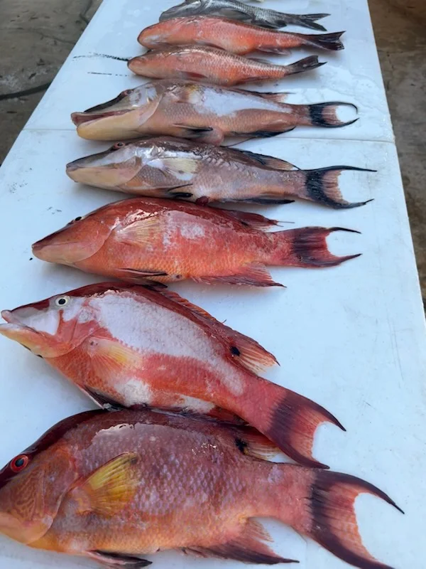 Fishing in Clearwater, Florida