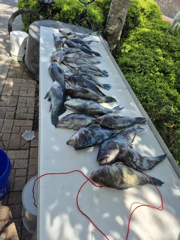 Fishing in St. Marys, Georgia